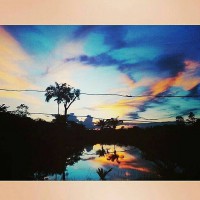 /album/galeria-de-fotos-pagina-inicial/frfrf-jpg/